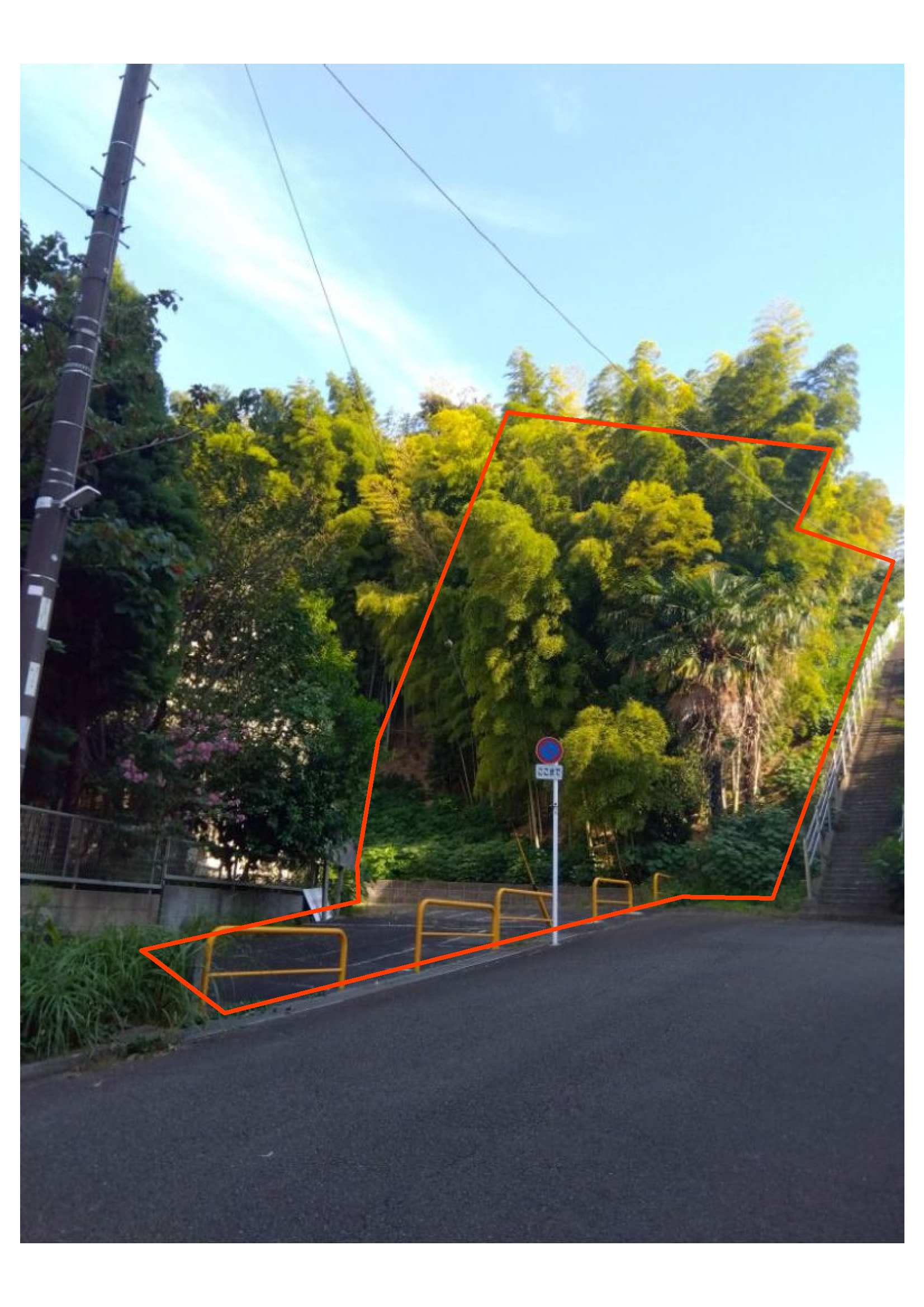 現地写真1
