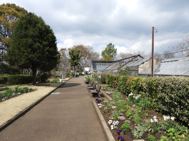 川崎市緑化センターの画像