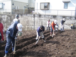 植えつけたジャガイモに鍬を使い丁寧に土をかぶせている様子