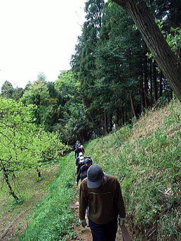 タケノコ堀