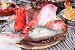 田中さん製作の鮮魚の食品サンプル写真