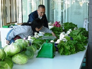 野菜の審査風景