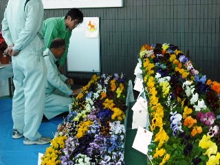 花の審査風景