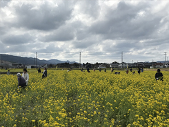 季節の狩り物ツアー