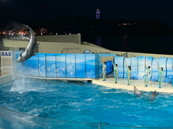 新江ノ島水族館<