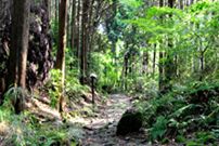 日帰りバス旅行