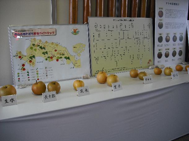 梨の品種展示