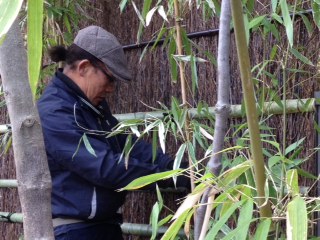 本川さん竹垣作成写真