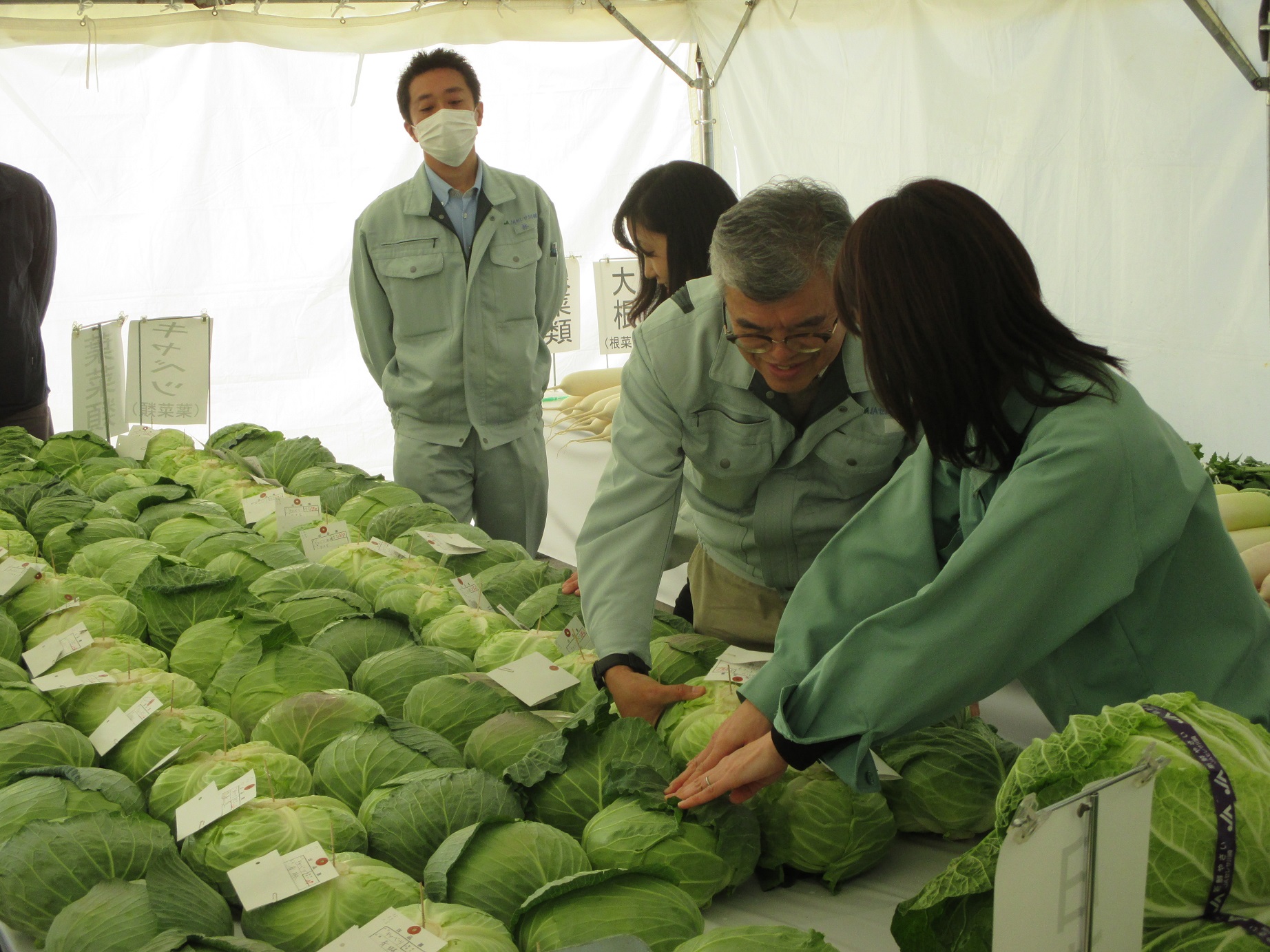 野菜の審査の様子