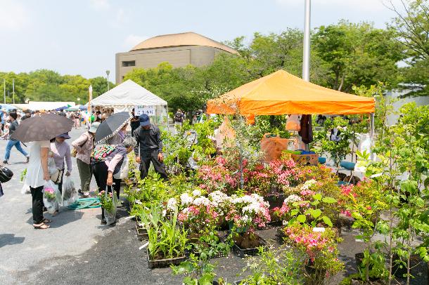 花と緑の即売会