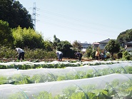 さむはら農園