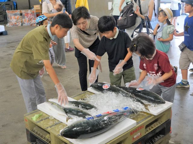 出世魚「ぶり」の展示を見る家族