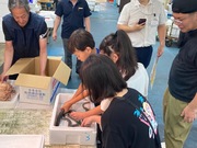 南部市場魚のつかみどり