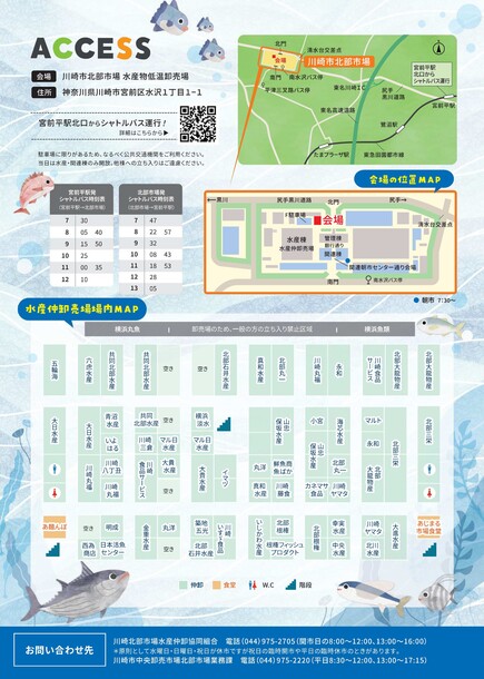 チラシ裏面