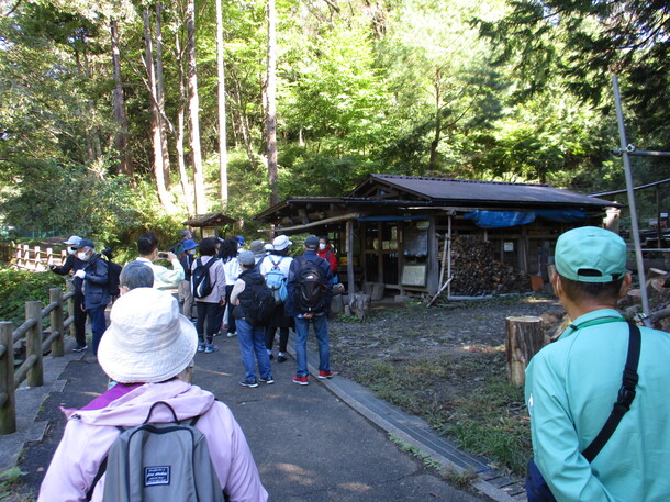 秋の早野里山の散策