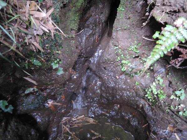 中ノ谷湧水地