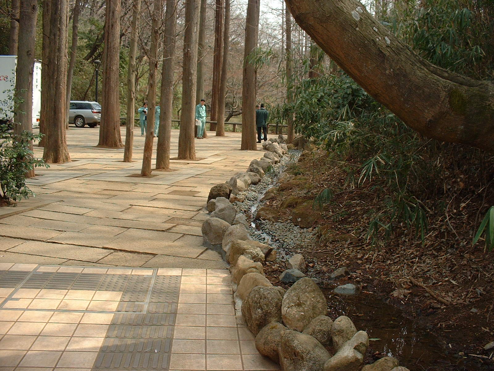 生田緑地内岡本太郎記念館横