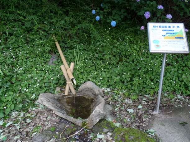 緑ヶ丘霊園湧水地 （101街区）