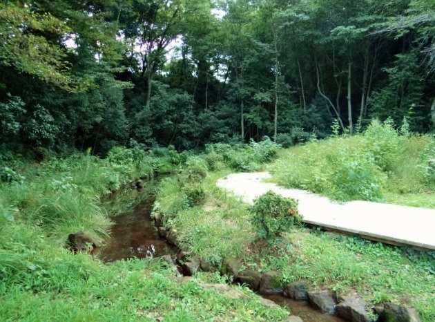 緑ヶ丘霊園（111街区）