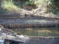 とんもり谷戸湧水地