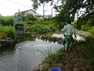 親水施設での調査の様子