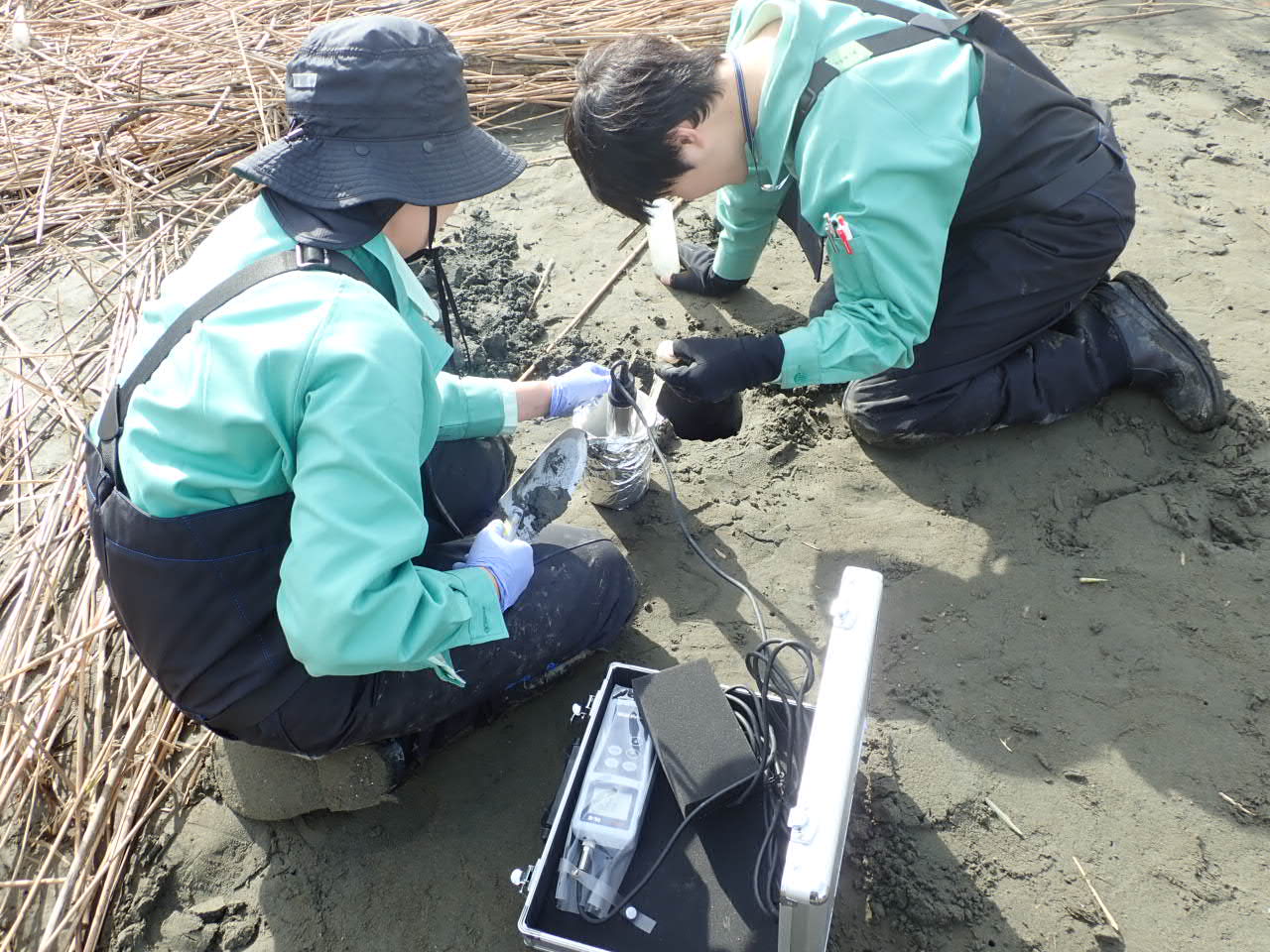 多摩川河口干潟での調査の様子