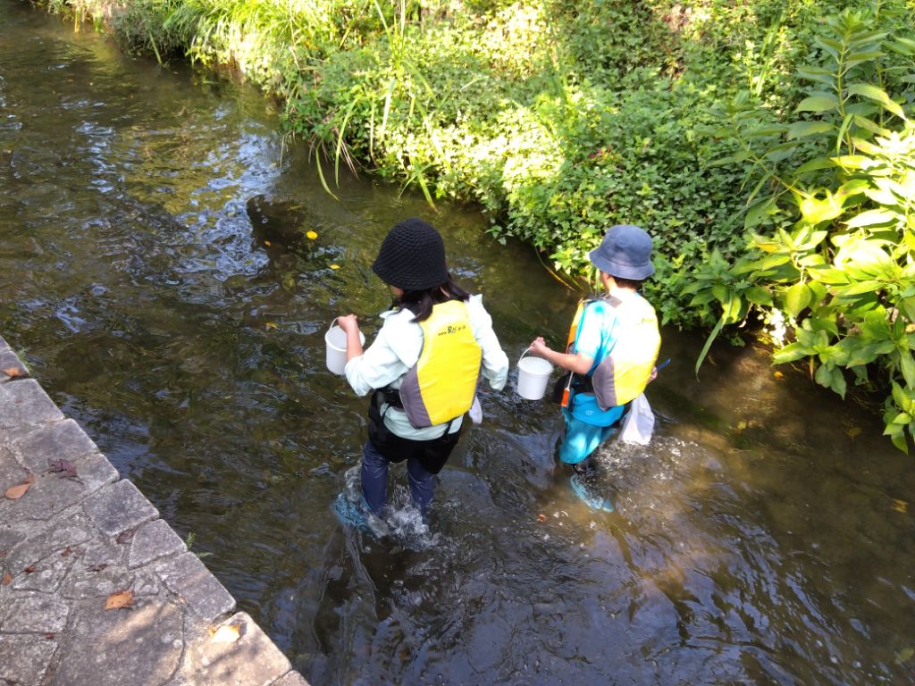 川の中に入って網を使いながら生きもの探しを行っています。