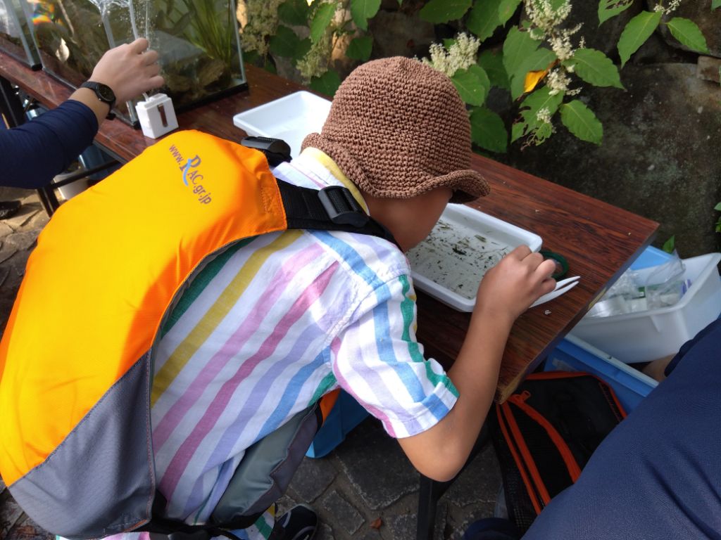 川に住む生きものについて、観察をしながら解説を聞いています。