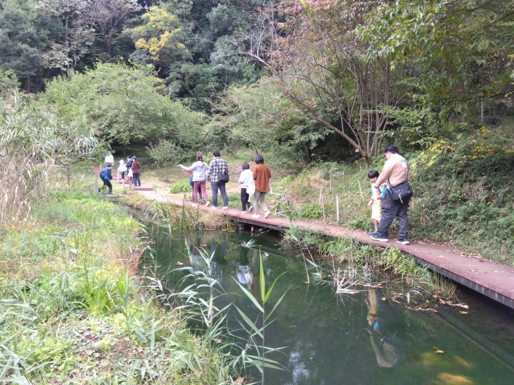黒川よこみね緑地内を散策しています。