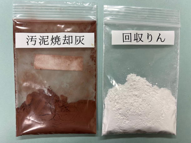 汚泥焼却灰と回収リンの写真