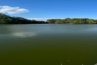 湖沼