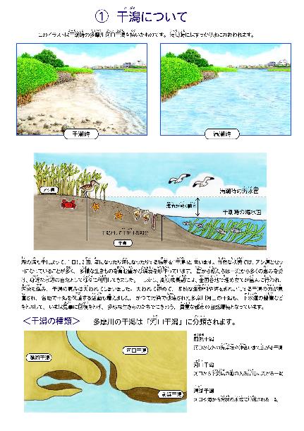 多摩川河口干潟について