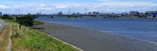 多摩川河口干潟