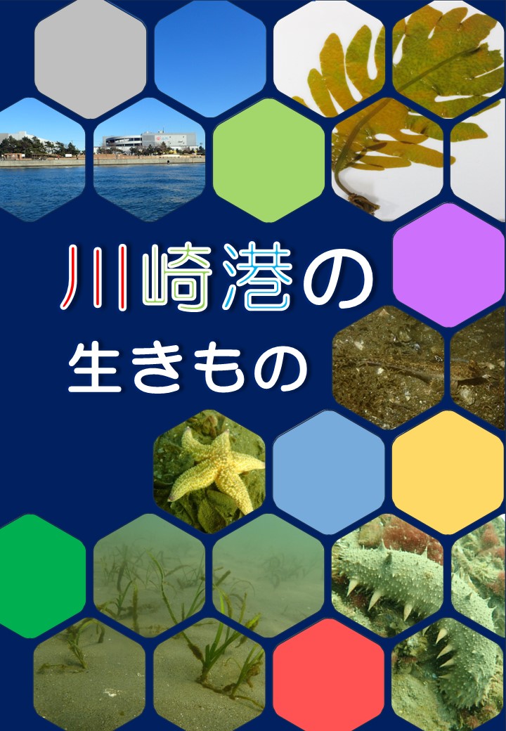 川崎港の生きもの表紙
