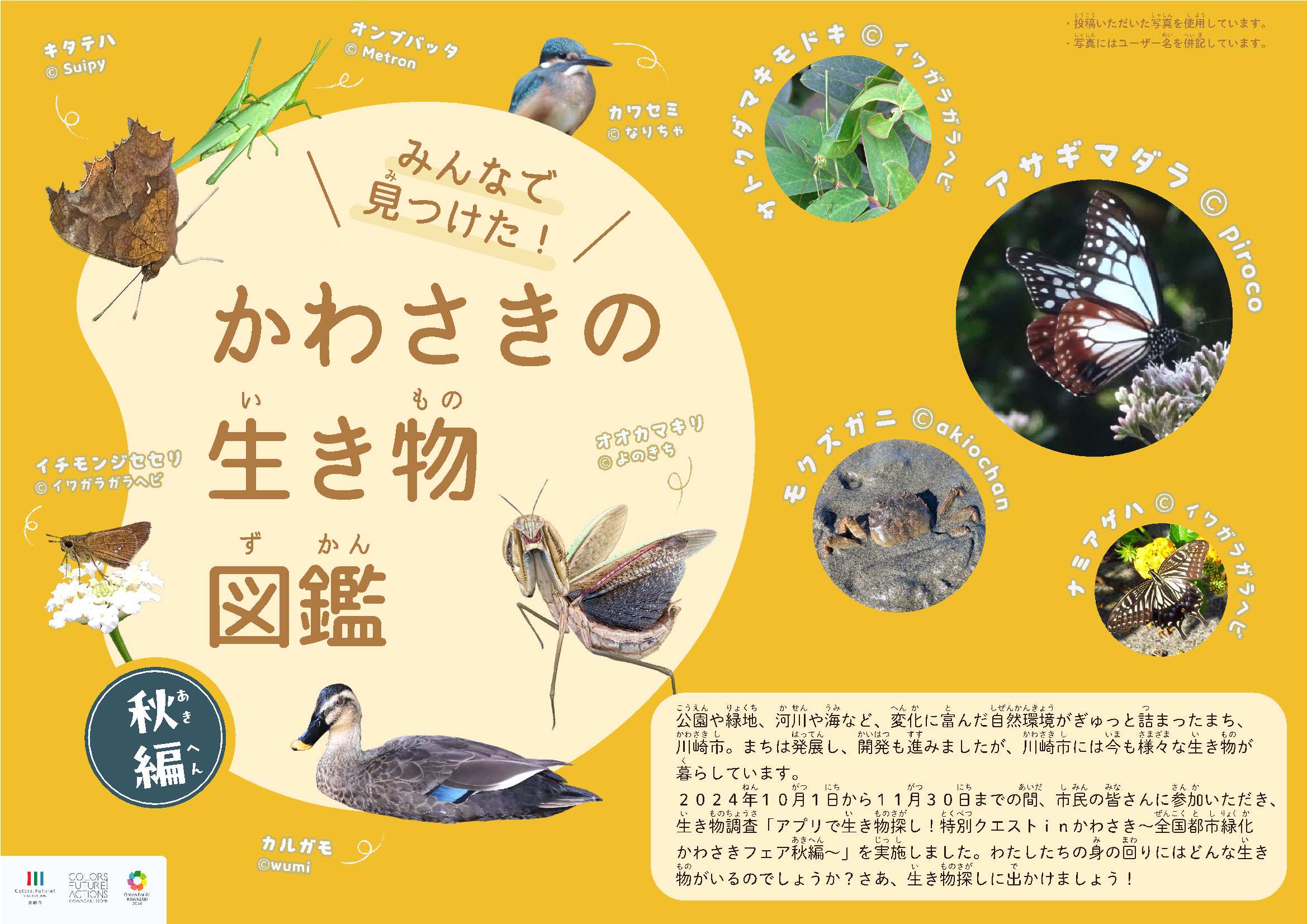 みんなで見つけた! かわさきの生き物図鑑 秋編 表紙