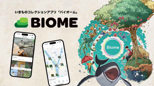 バイオームアプリの使い方。ダウンロードして写真を撮影。AIが生き物を判定してアプリで投稿することによってポイントゲットでレベルがあがる。市内の生き物マップも見れる。