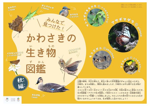 図鑑の表紙(秋編)