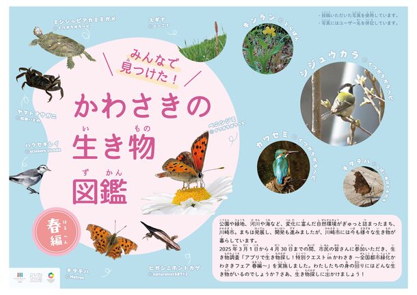 図鑑の表紙(春編)
