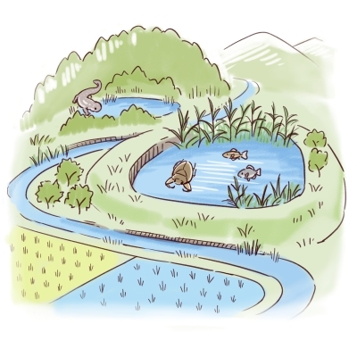 里山環境のイラスト