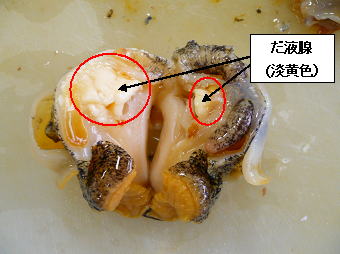 川崎市 巻貝による食中毒 テトラミン