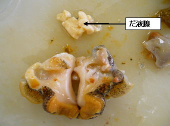 唾液腺の除去方法