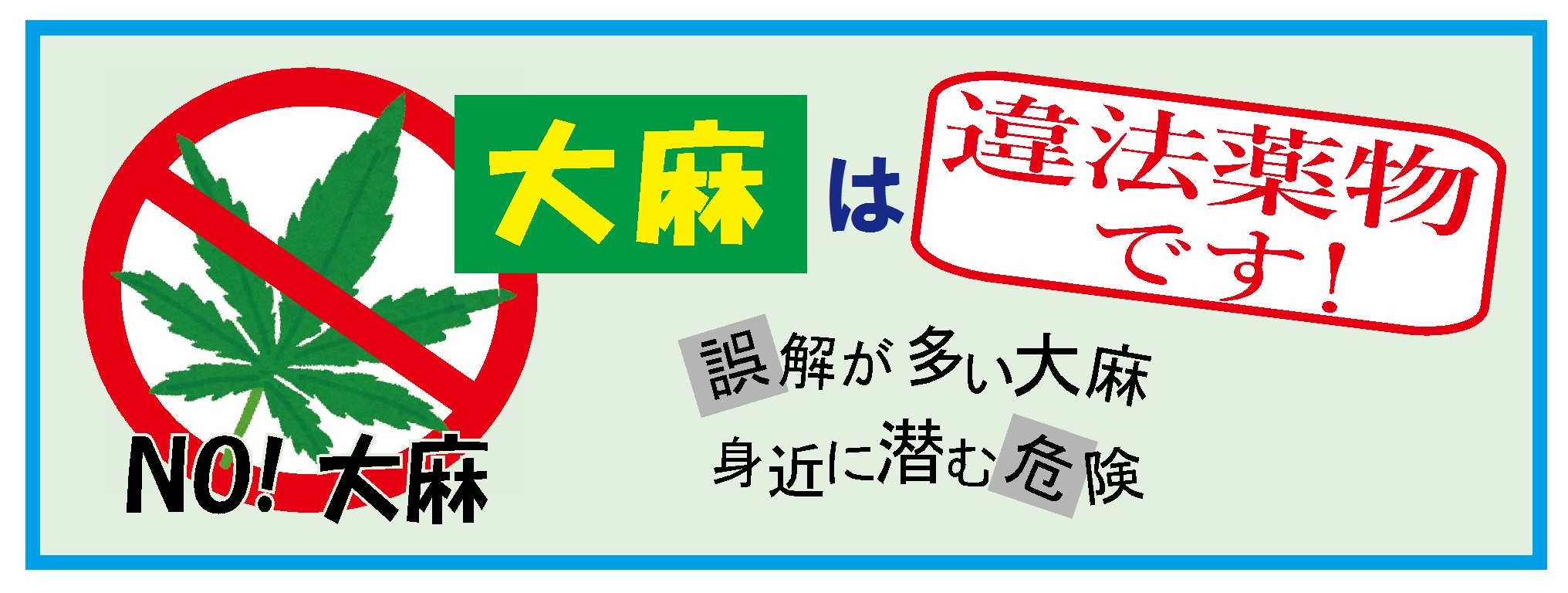 大麻は違法薬物です　誤解が多い大麻、身近に潜む危険