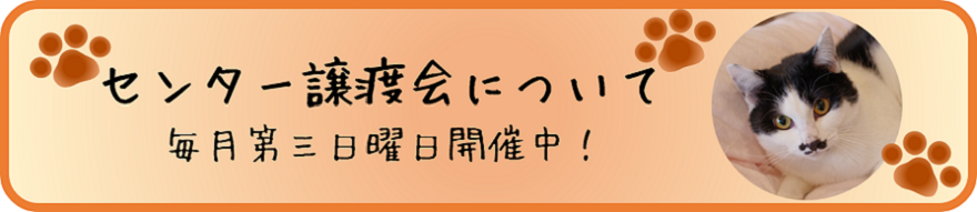 センター譲渡会について毎月第3日曜日開催中