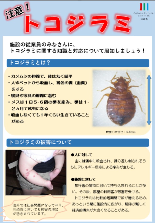 市リーフレット