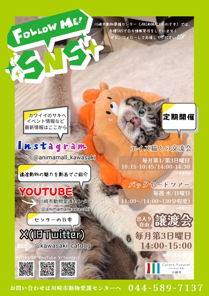 川崎市動物愛護センター定期譲渡会