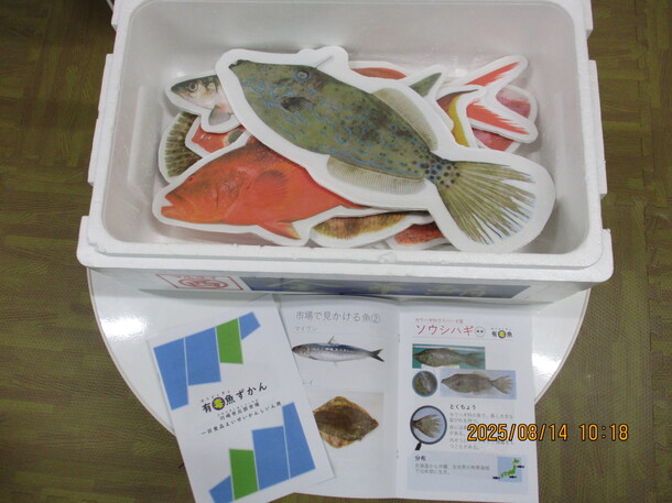 発泡スチロールの箱の中に魚のパネルが並んでいる写真