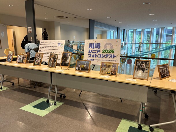 展示の様子