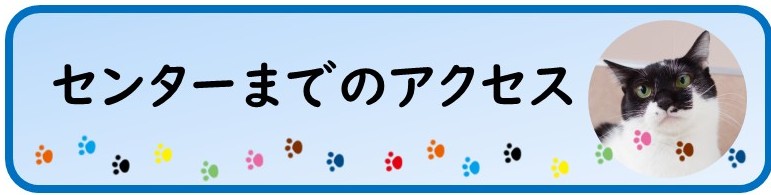 センターまでのアクセス