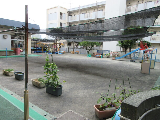 園庭写真