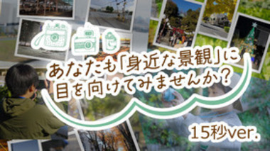 15秒